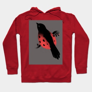 Ladybird Hoodie